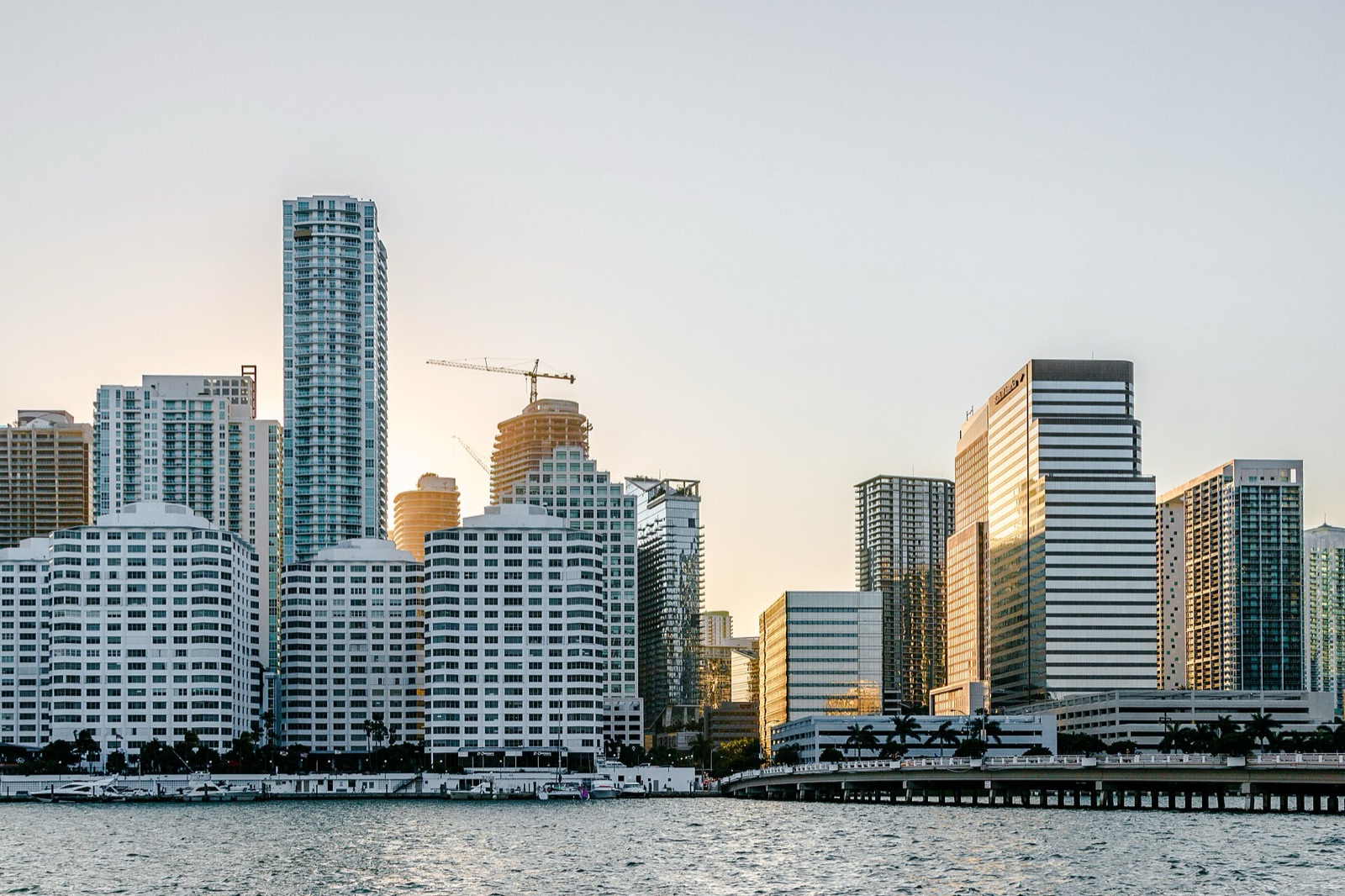 The Miami skyline