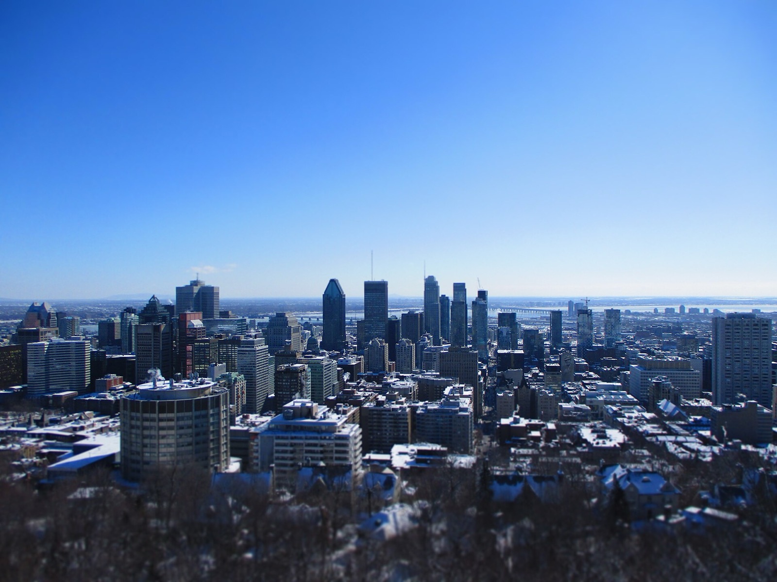 The Montreal skyline