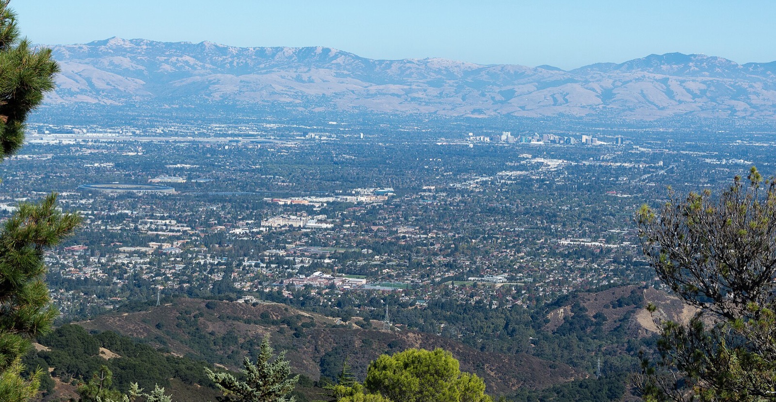 The San Jose skyline