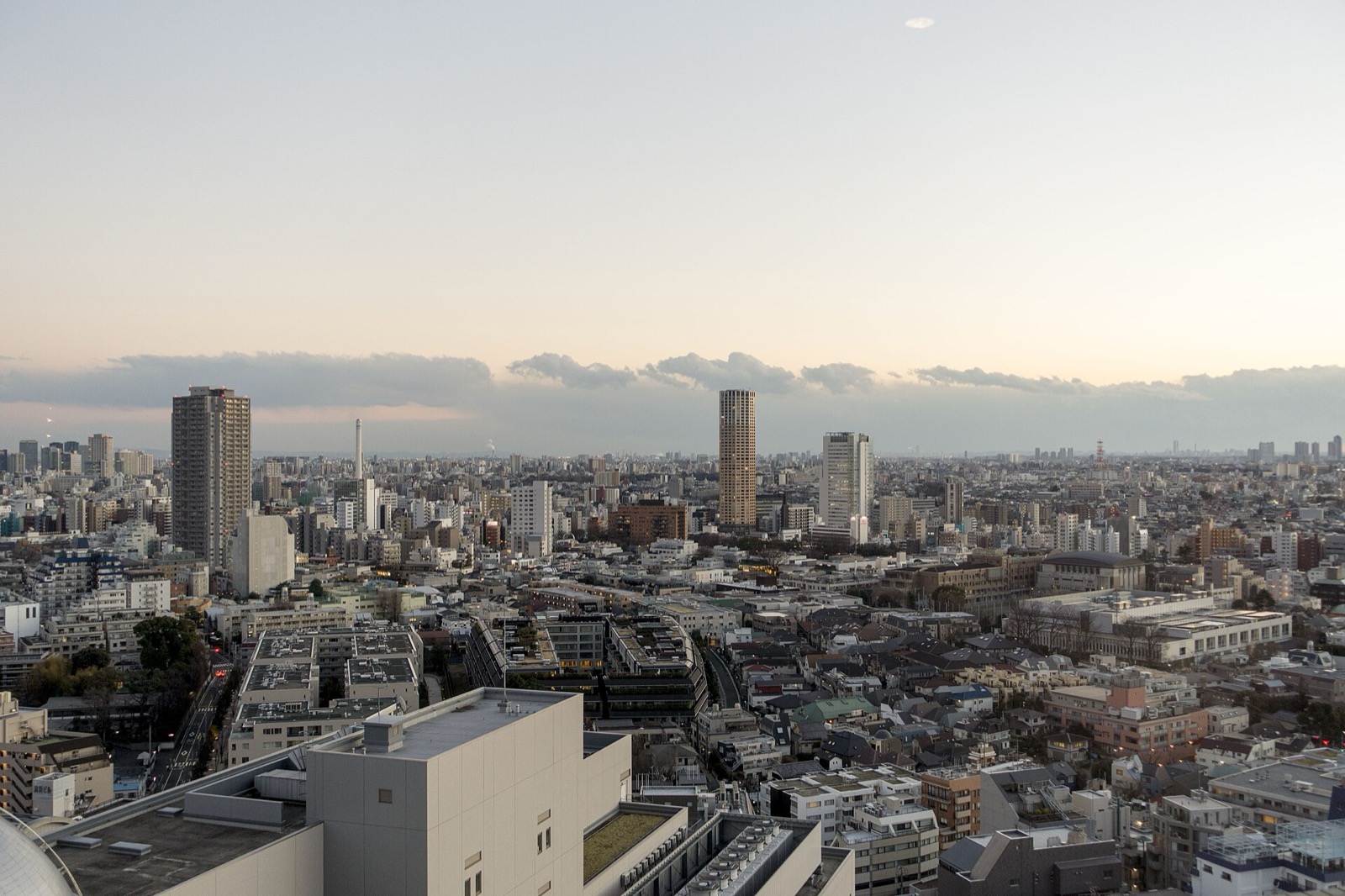 The Tokyo skyline
