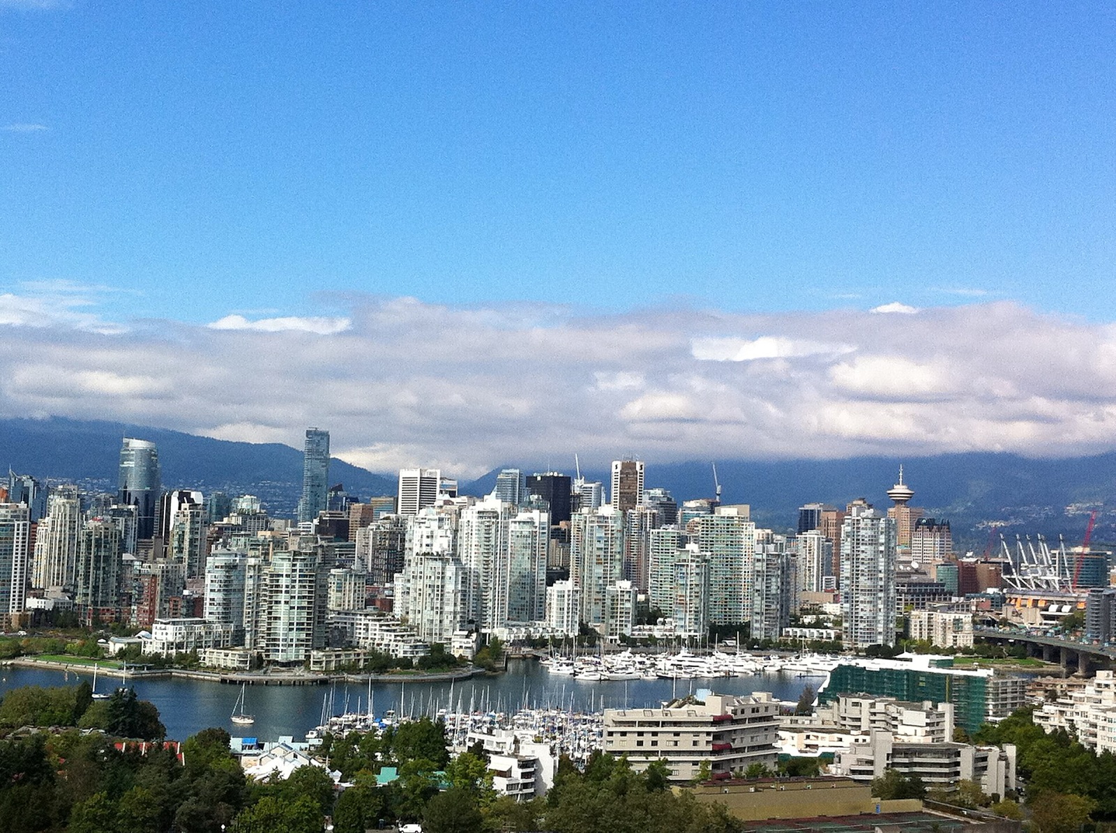 The Vancouver skyline